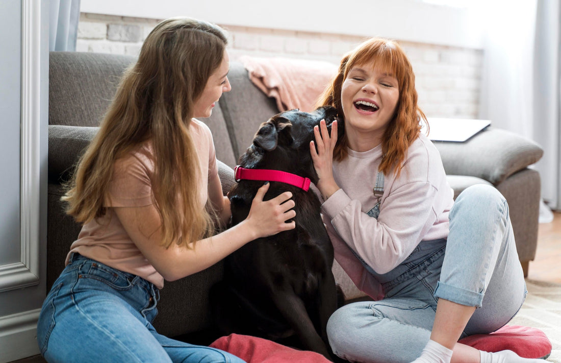 Why Pets Are Important for a Happy Life