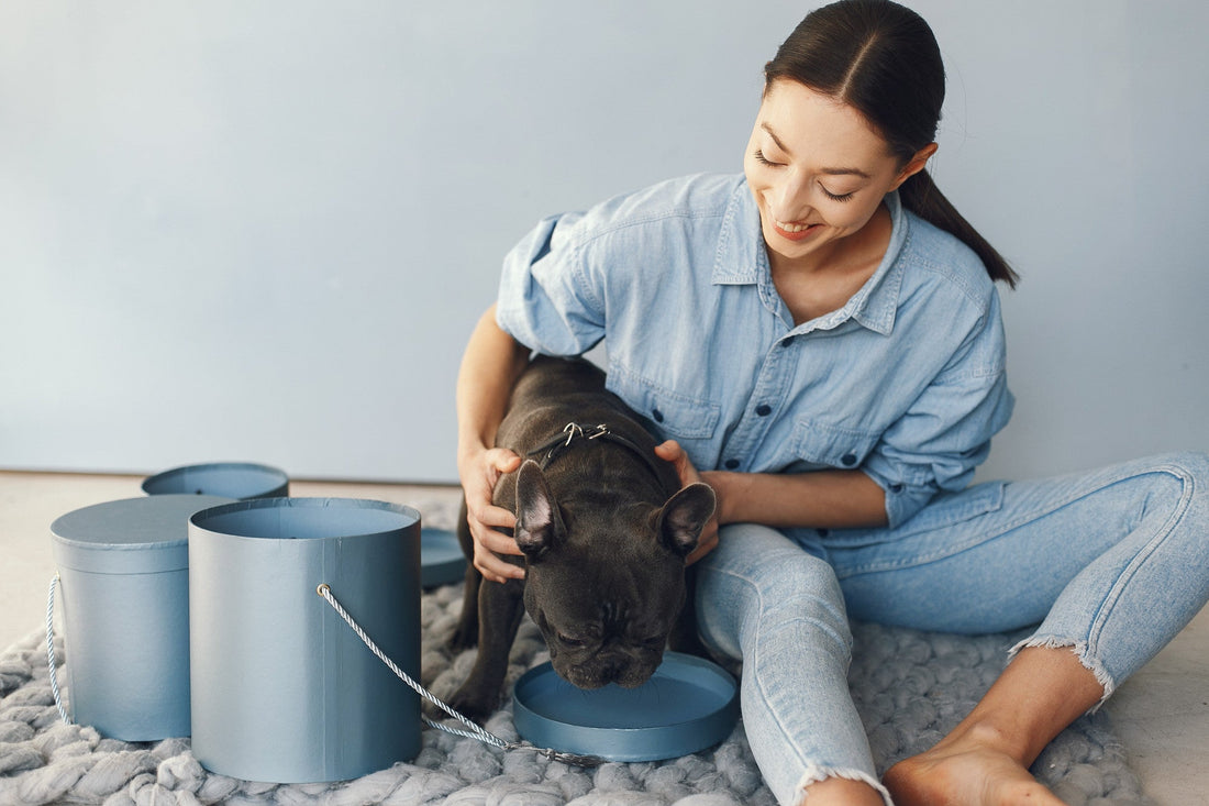 Essential Products Every Cat Owner Needs