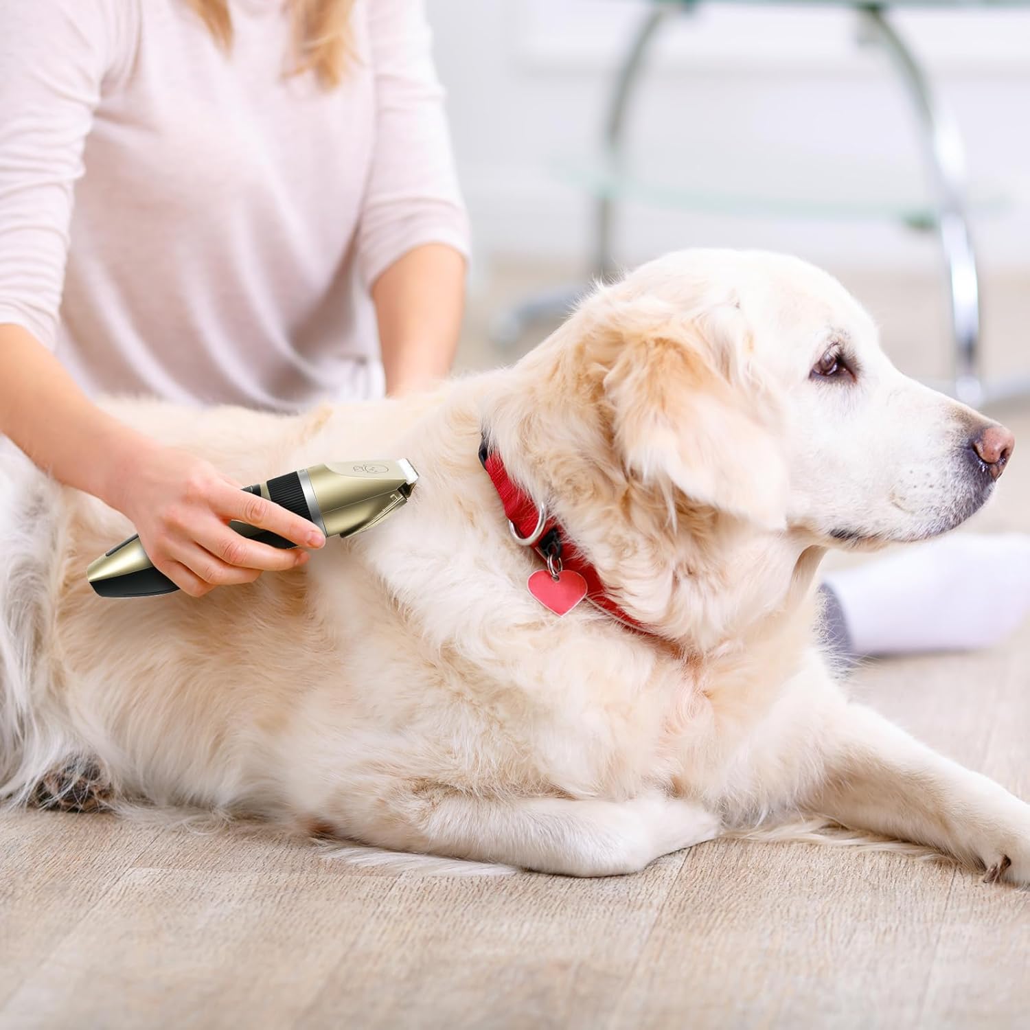 Ultimate Dog Grooming Kit: Cordless Low Noise Clippers & Rechargeable Hair Trimmer for Cats and Dogs - Perfect for Paws and Fur!