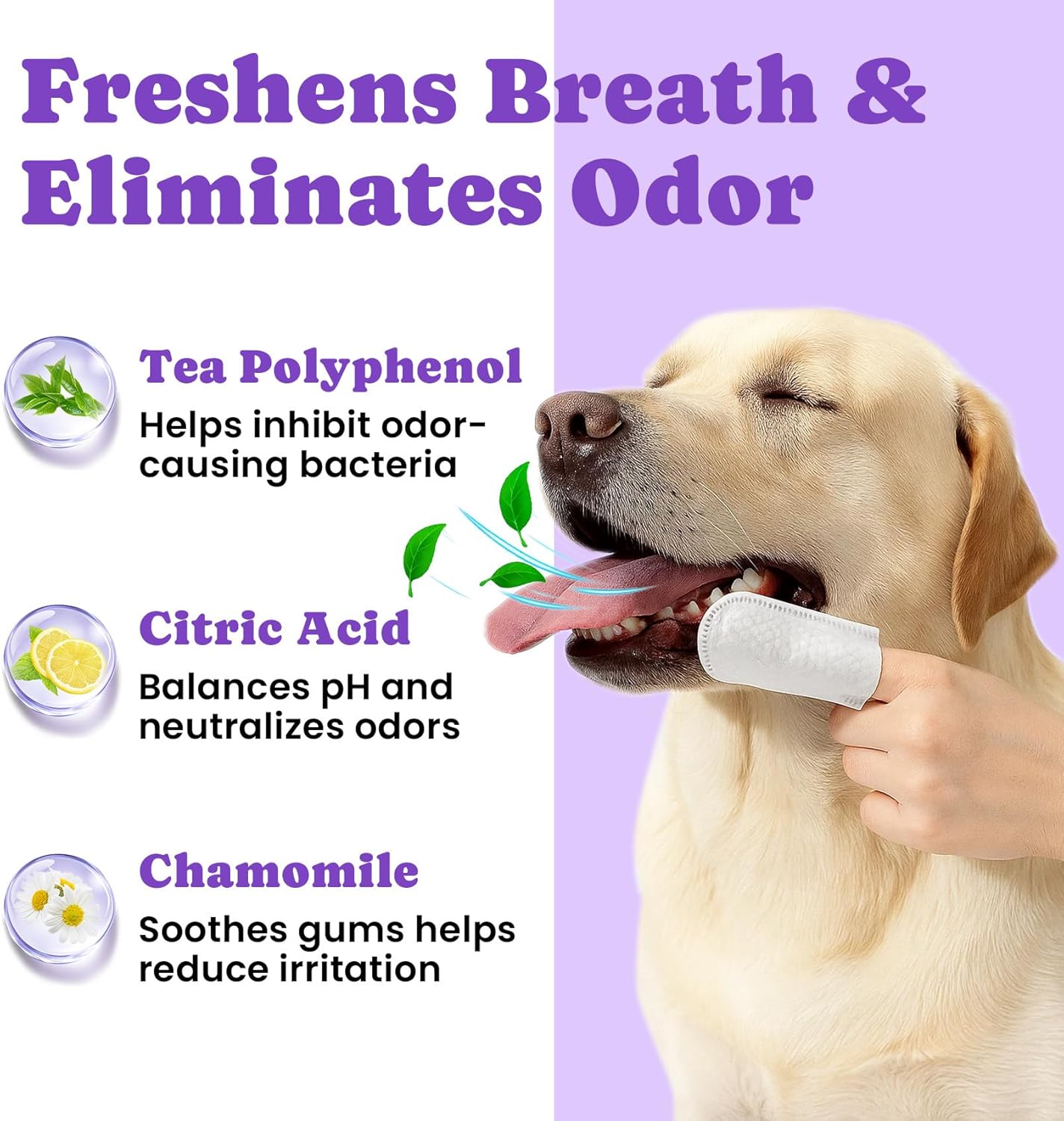 Gentle No-Rinse Dental Care Wipes for Dogs & Cats - Effortless Teeth Cleaning & Fresh Breath - 50 Count