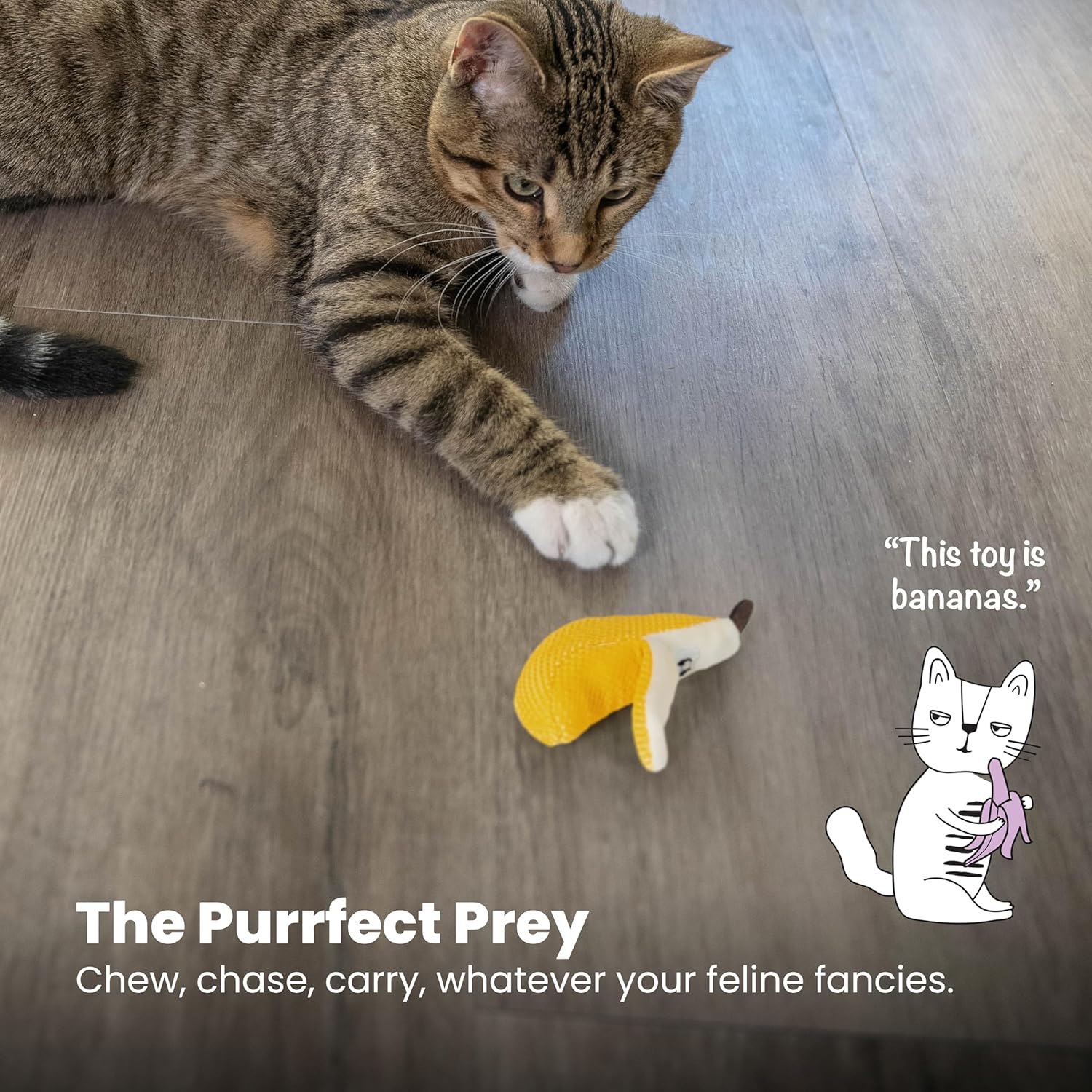 Petstages Dental Banana Catnip Cat Chew Toy