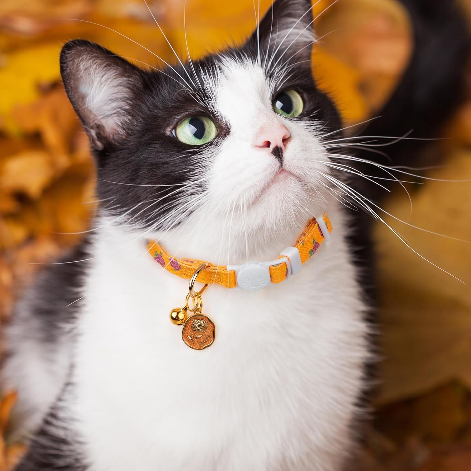 2 Pack Cotton Breakaway Cat Collar Yellow and Pink Rose Pendant Cute Kitten Cat Collar with Bell